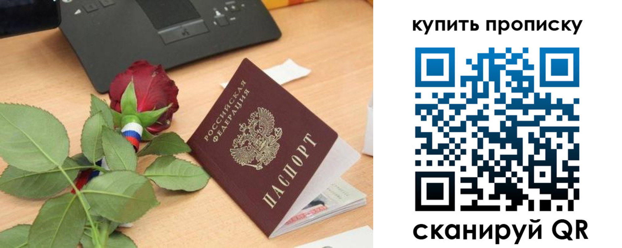 прописка регистрация в Курской области
